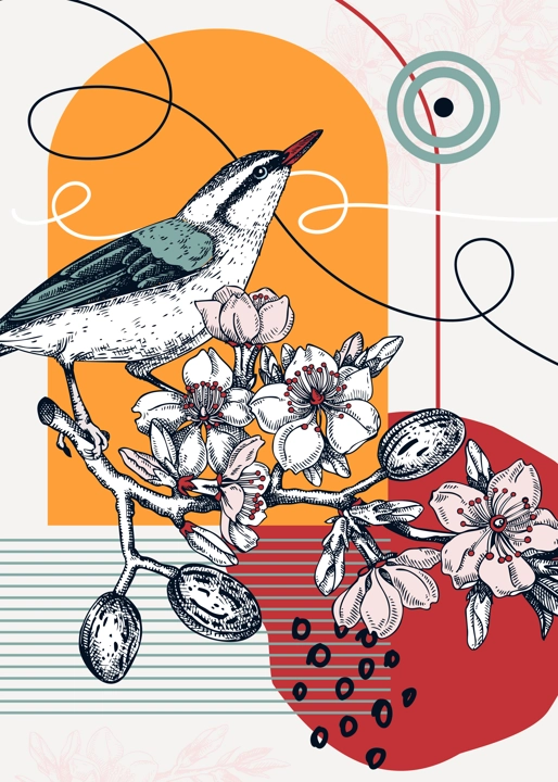 Collage-style bird card. Sketched nuthatch trendy poster. Creative designs with almond sketch, botanical illustrations, geometric shapes, and abstract elements for nature print, wall art, packaging.